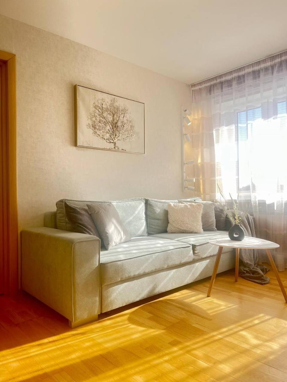 New Apartment With A View In The Town Center 纳尔瓦 外观 照片